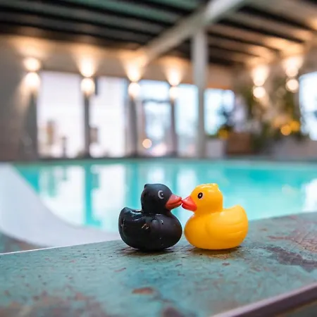 Bed and breakfast Wellness Modry Jelen 4*