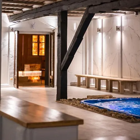 Wellness Modry Jelen Bed and breakfast Lipno nad Vltavou