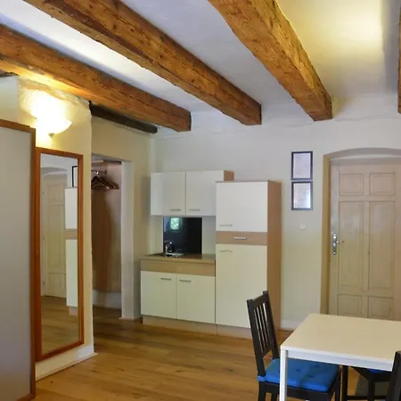 Welness Modry Jelen 4* Lipno nad Vltavou