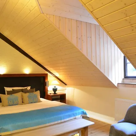 Wellness Modry Jelen 4* Lipno nad Vltavou