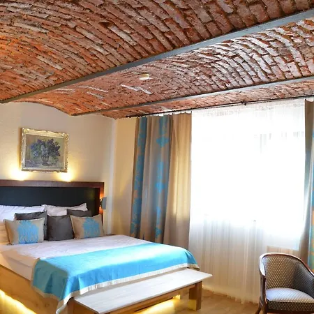 Wellness Modry Jelen Bed and breakfast 4*