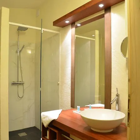 Wellness Modry Jelen Bed and breakfast