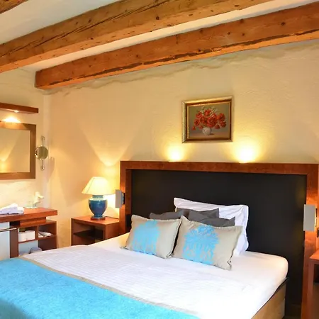 Wellness Modry Jelen Bed and breakfast Lipno nad Vltavou