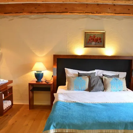 Welness Modry Jelen Bed & Breakfast Lipno nad Vltavou