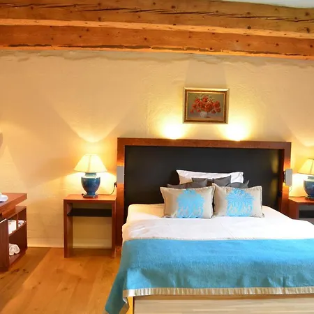 Wellness Modry Jelen