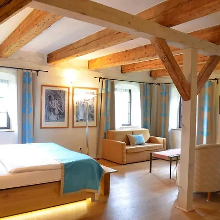 Wellness Modry Jelen Bed and breakfast Lipno nad Vltavou