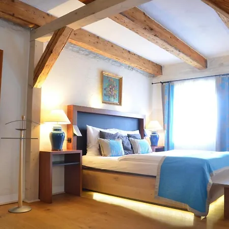 Wellness Modry Jelen