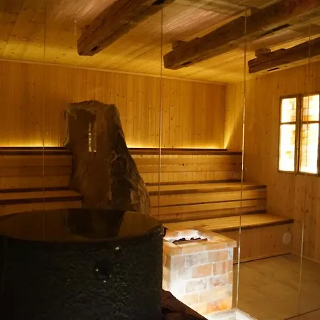 Wellness Modry Jelen Bed and breakfast Lipno nad Vltavou