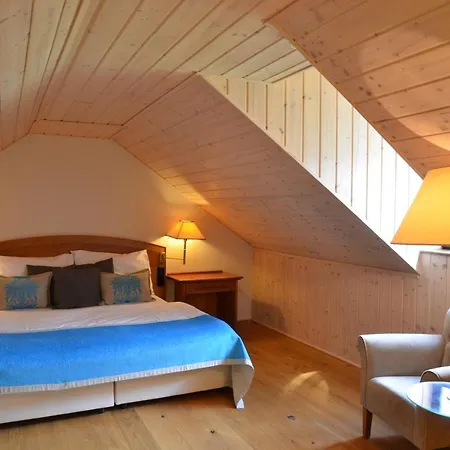 Welness Modry Jelen 4* Lipno nad Vltavou