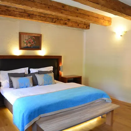 Wellness Modry Jelen Bed & Breakfast