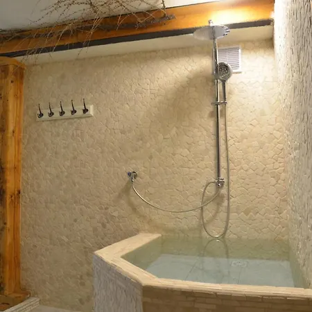 Bed and breakfast Wellness Modry Jelen 4*