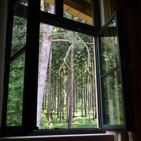 Welness Modry Jelen Bed & Breakfast
