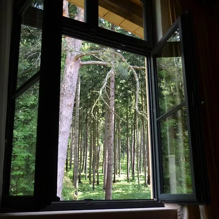 Wellness Modry Jelen Bed and breakfast