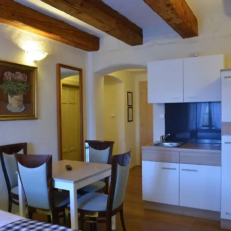 Wellness Modry Jelen Bed and breakfast Lipno nad Vltavou
