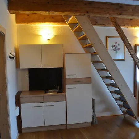 Wellness Modry Jelen Bed and breakfast Lipno nad Vltavou