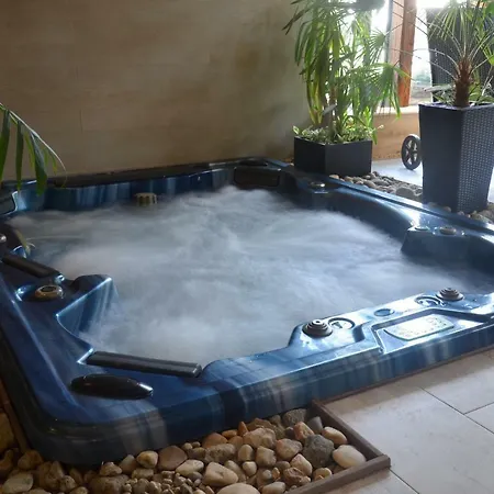 Wellness Modry Jelen Lipno nad Vltavou