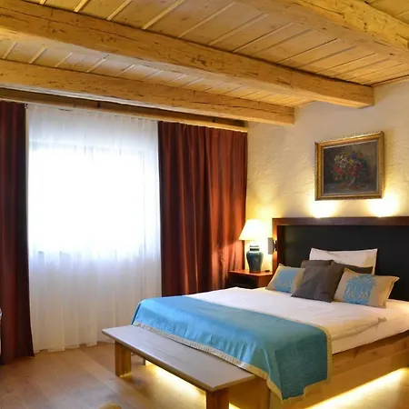 Wellness Modry Jelen Bed and breakfast