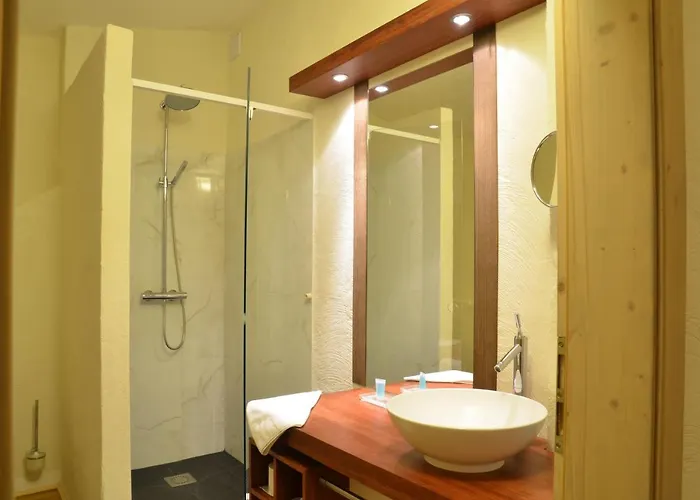 Welness Modry Jelen B&B