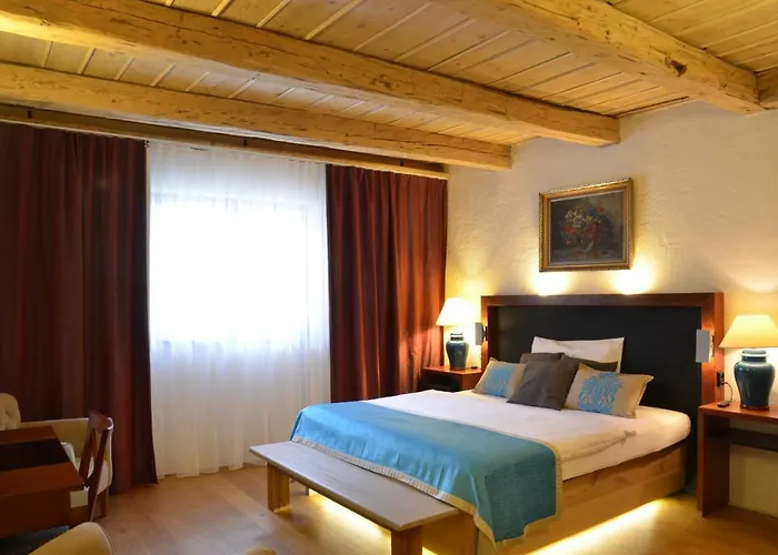 Welness Modry Jelen B&B
